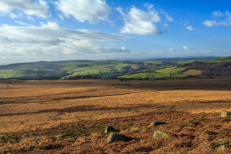 Stoke Flat